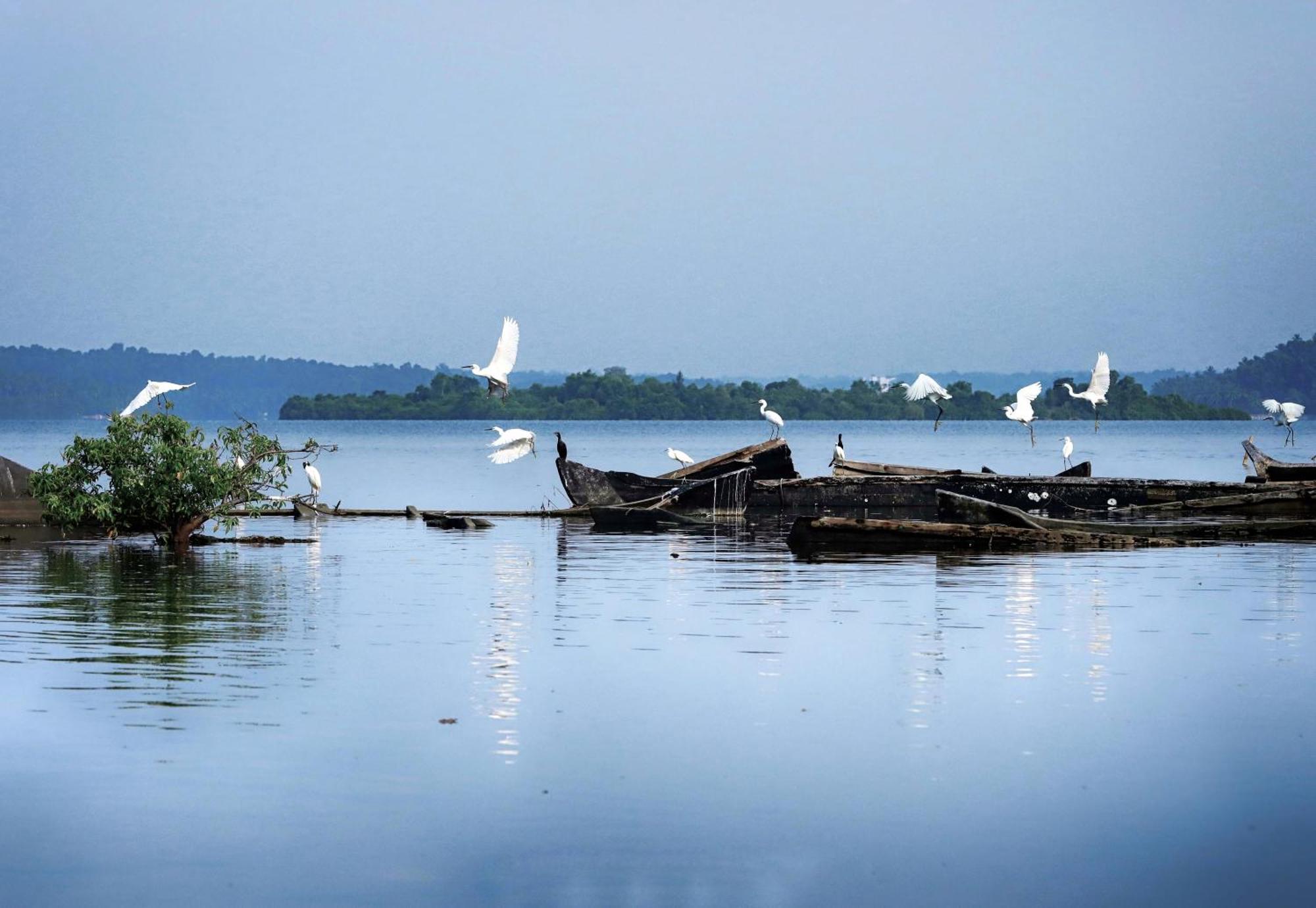 Prakruthi Residency Munroeisland Apartment Mundrothuruth Bagian luar foto