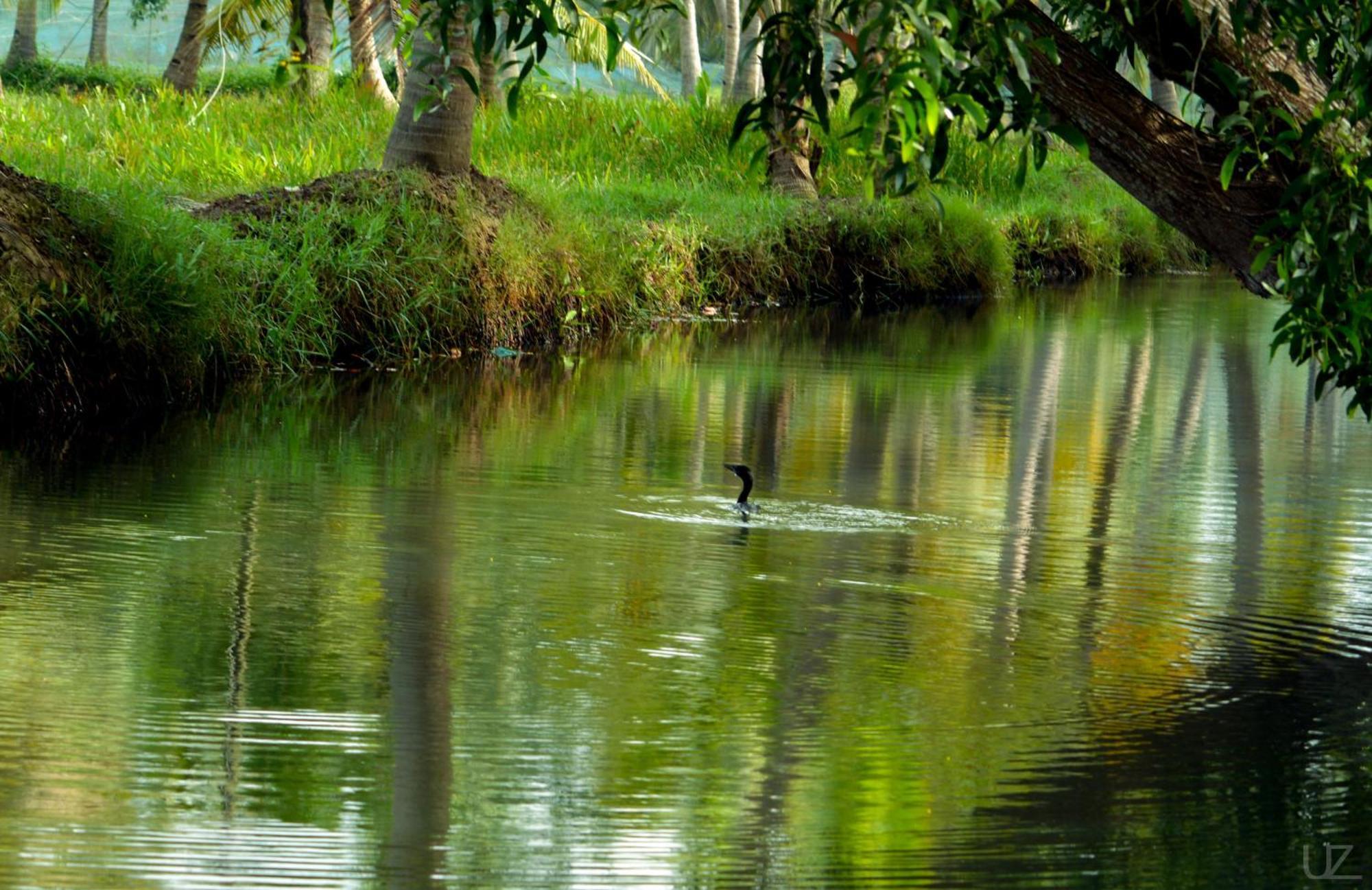 Prakruthi Residency Munroeisland Apartment Mundrothuruth Bagian luar foto
